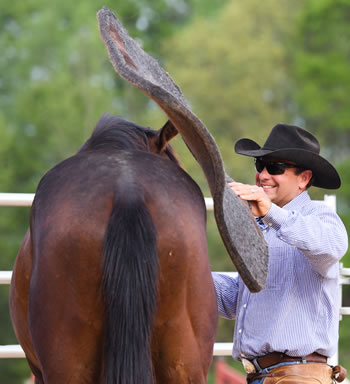 Dan Burle Horsemanship Co