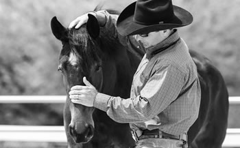 Dan Burle Horsemanship Co